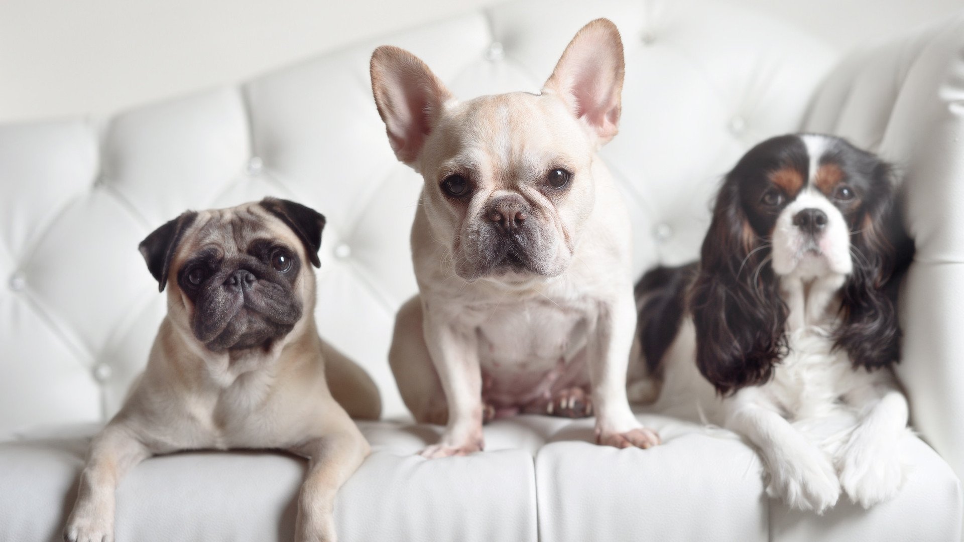 中超球队年度人事更换频率统计，中超几个换人