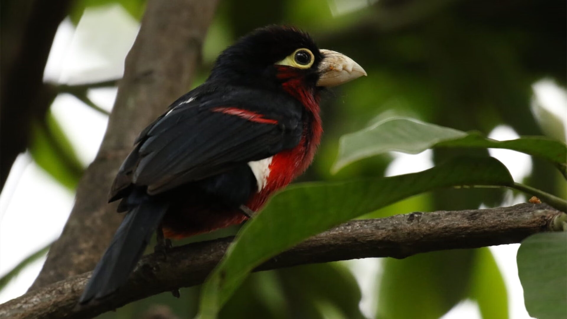 体育赛事安全保障机制,加强体育赛事安全